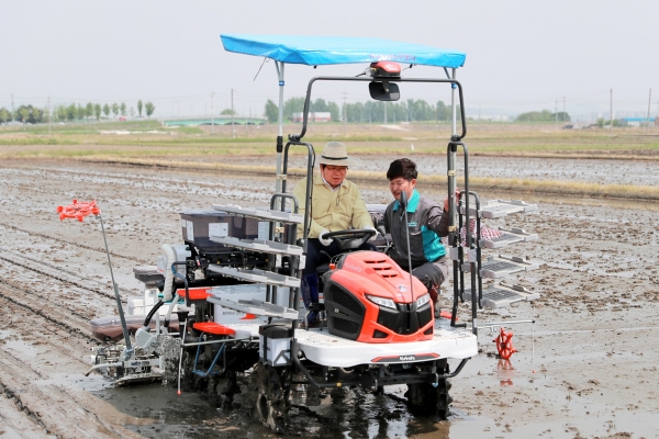 직파기를 이용한 점뿌림 무논점파기술