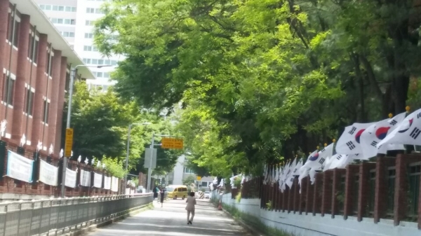 태극기거리 전경