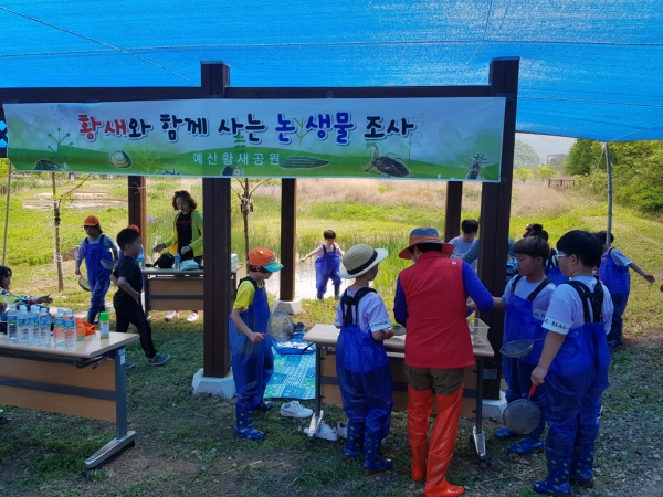 ‘황새와 함께 사는 논 생물 조사 체험 프로그램’ 운영