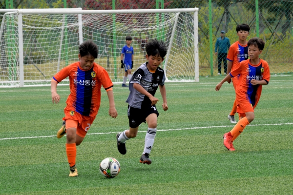 충남 도민체전 축구경기 모습