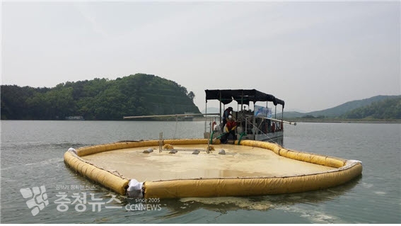 예산 봉림저수지에서 부상된 녹조를 수거하는 모습 / 충청뉴스 최형순 기자