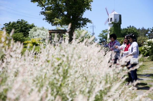 팜카밀레허브농원