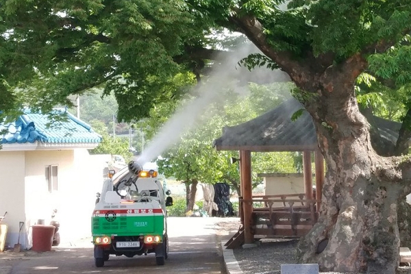 서산시 방제단에서 돌발해충 확산 방지를 위해 방제활동을 펼치고 있다.