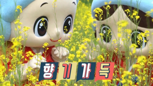 온궁이와 온양이가 간다 곡교천 유채꽃 촬영 콘텐츠