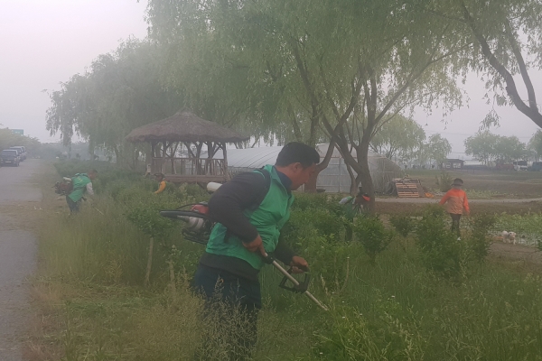 무궁화 꽃길 정비 장면