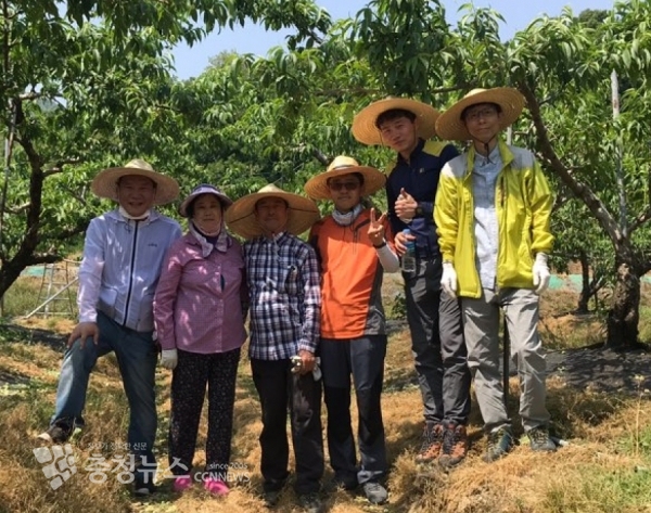 세종시 토지정보과 농촌일손돕기 진행