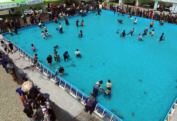 제14회 자연산 광어 도미 축제 개최 모습