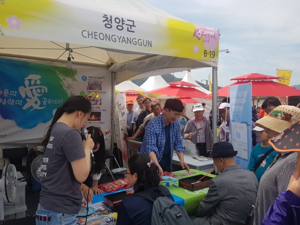 한국축제여행박람회에서 청양군 홍보관 운영 모습