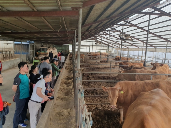 충북농업마이스터대학 축산과 학생들이 공주알밤한우 농가를 견학하고 있다)