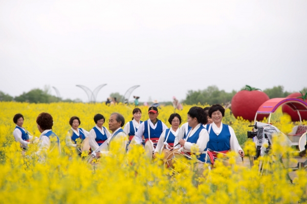 2019 부여세도 방울토마토 유채꽃축제 장면