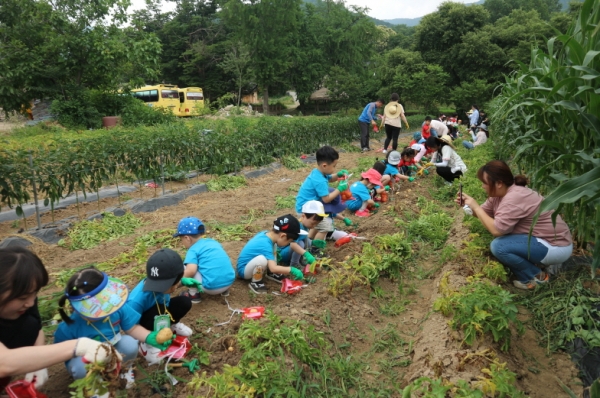 지난 2018년 어린이들이 텃밭체험을 하고 있는 모습