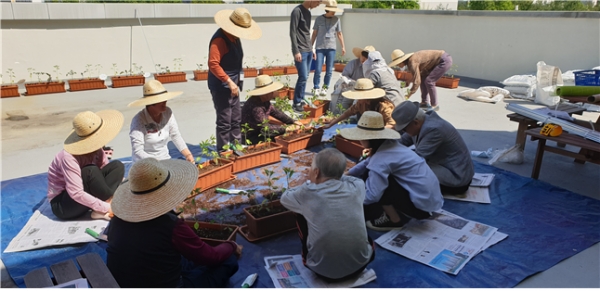 뇌건장 인지프로그램 텃밭운영
