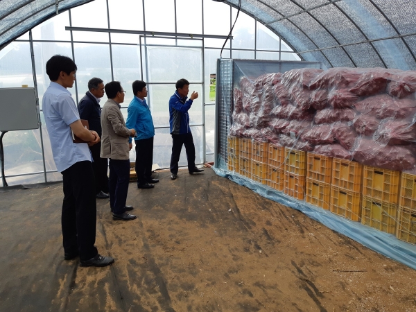 이동식 송풍 건조기로 마늘 건조 모습.