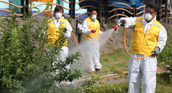 대동천 방역작업 모습