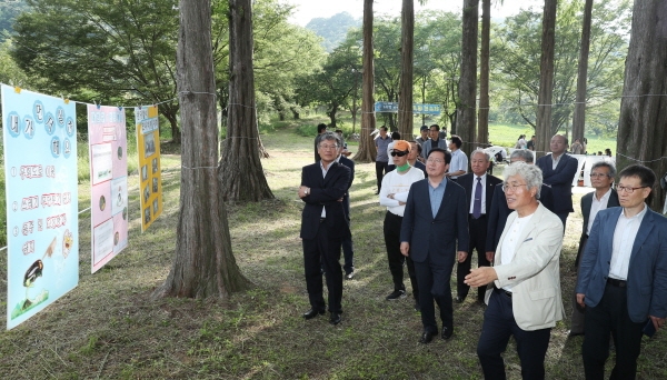 흑석동 노루벌 반딧불이 보호지역(제6호)에서 대전생태보전시민모임이 주최하여‘제8회 반딧불이 가족 환경축제’