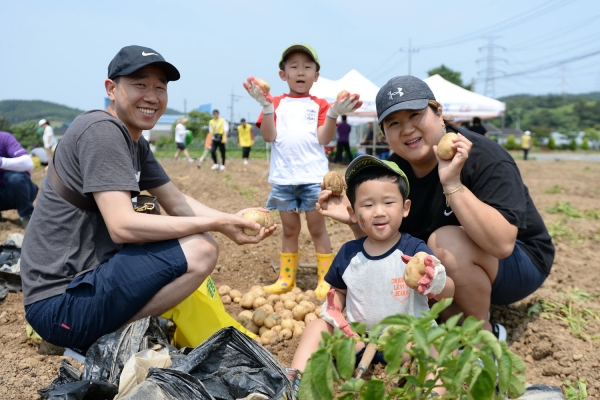 지난해 6월 열린 제17회 팔봉산 감자축제 사진들