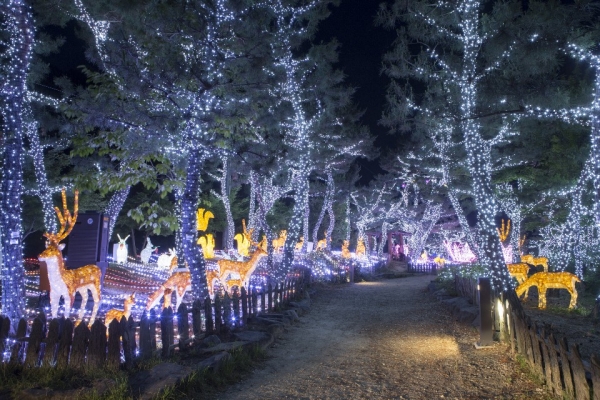 궁남지 야간경관 장면