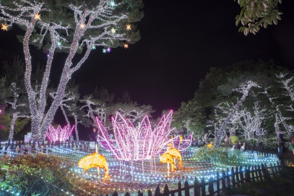 궁남지 야간경관 장면