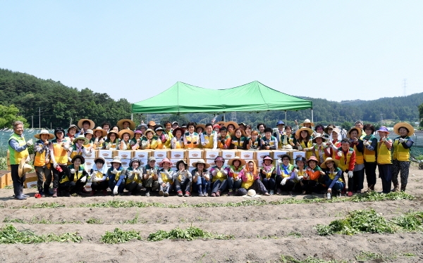 행복나눔농장, 감자수확