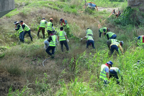 생태교란식물 퇴치 위해 민·관이 힘을 합쳐 본격적인 퇴치사업 실시 모습