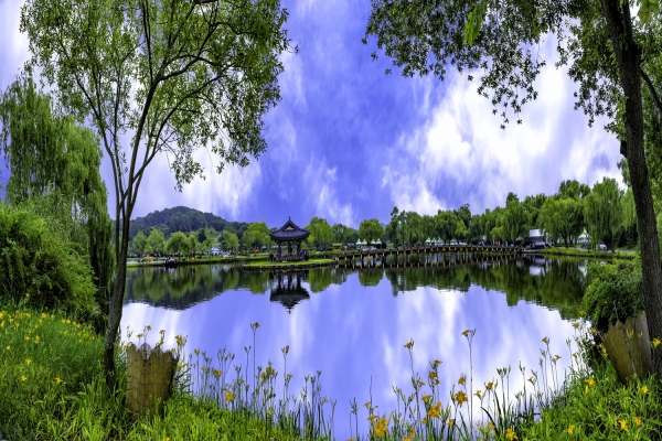 충남포토클럽 출품 사진