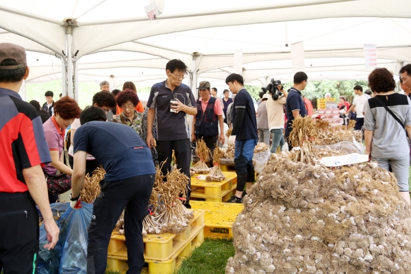 지난해 열린 서산6쪽마늘 축제 모습