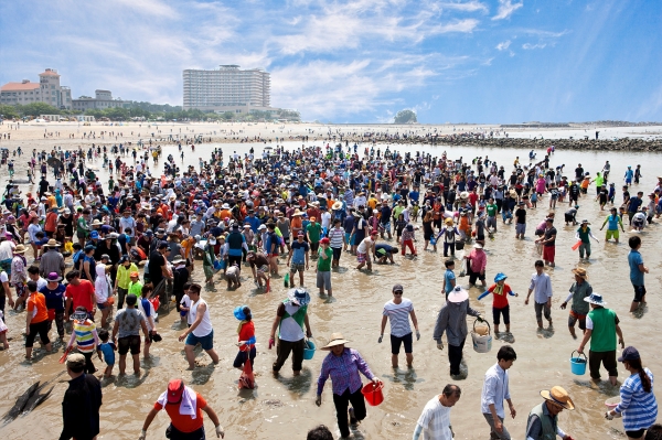 무창포해수욕장 신비의 바닷길 장면