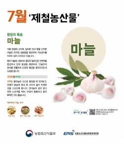 세계 10대 건강식품, 마늘을 소개합니다(포스터)
