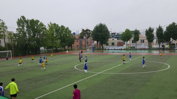 대전동·서부교육장배 학교스포츠클럽 대회 축구