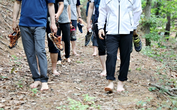 국립양평치유의숲 맨발걷기