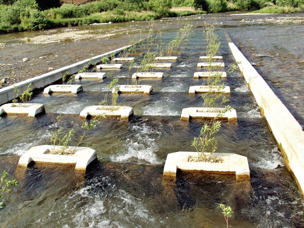 삼척시 삼척오십천(삼척오십천0010보).