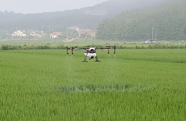 드론으로 벼 병해충 항공방제하는 모습