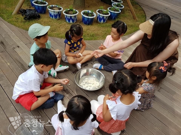 세종시 솔빛숲유치원 유아들이 놀이중심 교육과정을 통해 즐겁게 활동하는 장면