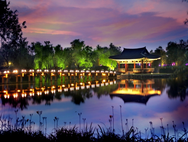 부여서동연꽃축제 야간경관 전경