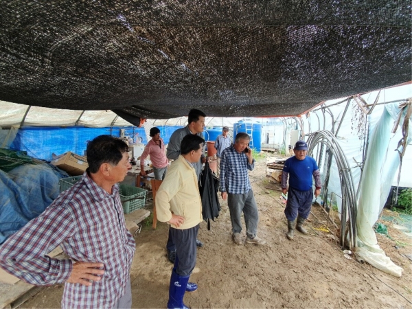 박정현 군수 농가피해 상황 점검 장면