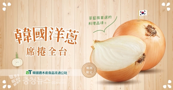 대만 구글 홈페이지 한국양파 소개 배너광고