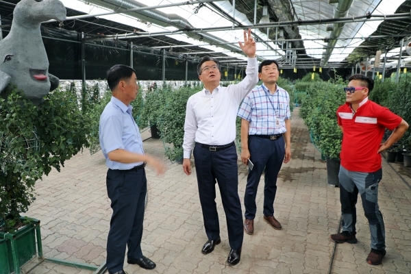 국화축제 준비 양묘장을 방문하고 있는 정용래 구청장