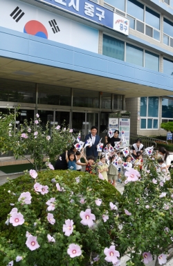 무궁화 화분 전시