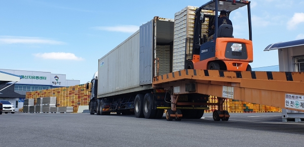 하늘그린 천안배 첫 미국 수출 선적 모습