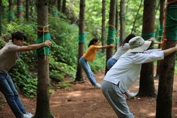 숲치유 프로그램