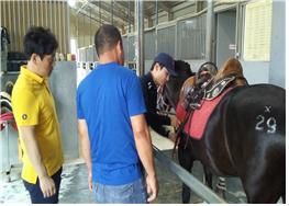 사회공익 힐링승마 과정 진행