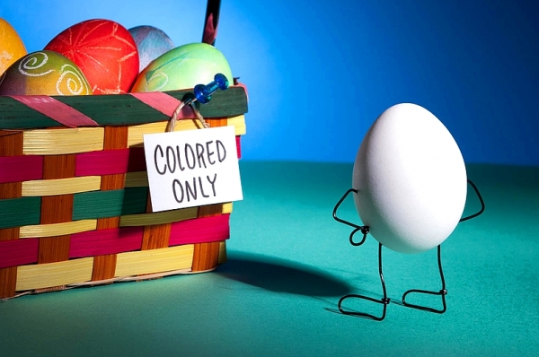 테더 보더 작품(왕따 계란)