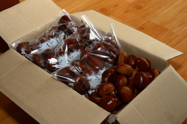 밤 원산지표시 특별점검 관련 자료사진