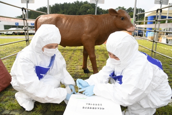 2019 가축방역 가상훈련 개최 모습