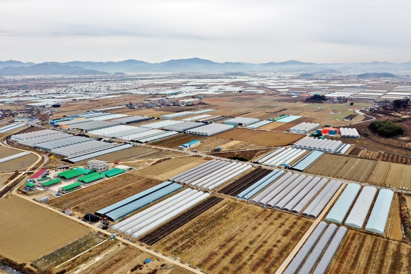 경남 창원들녘지구는 고소득 다양한 작물을 재배하고 유지관리비를 절감한 밭작물생산기반정비 성공사례로 꼽힌다