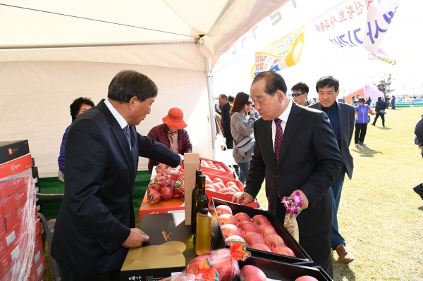 지난 제15회 황토사과축제 모습