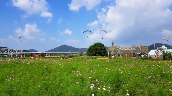 지난 64회 백제문화제 미르섬 일대 모습