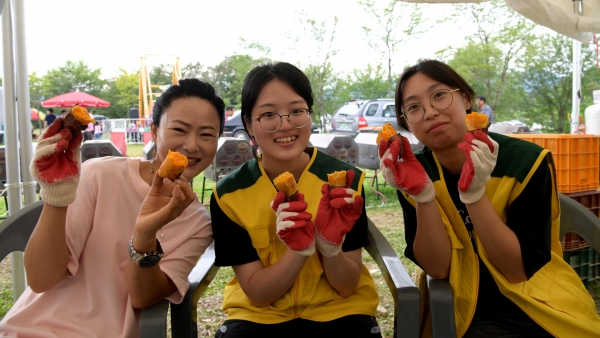 상월고구마축제, 행사장 이모저모