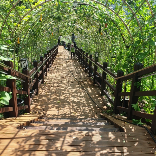 뿌리공원, 축제 준비