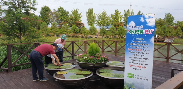 가시연꽃 전시회